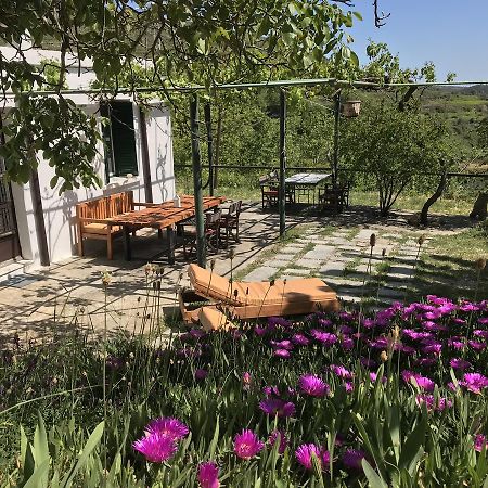 Willa Temenia House Zewnętrze zdjęcie