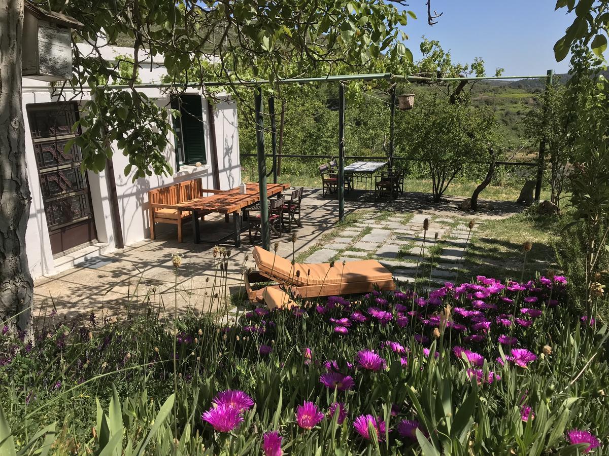 Willa Temenia House Zewnętrze zdjęcie